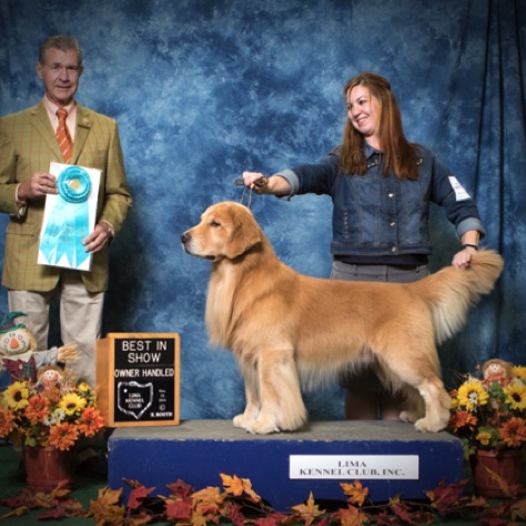 Owner Handled Best in Show
