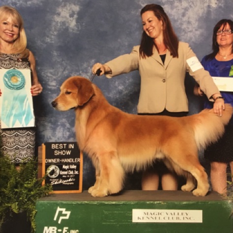 Owner Handled Best in Show